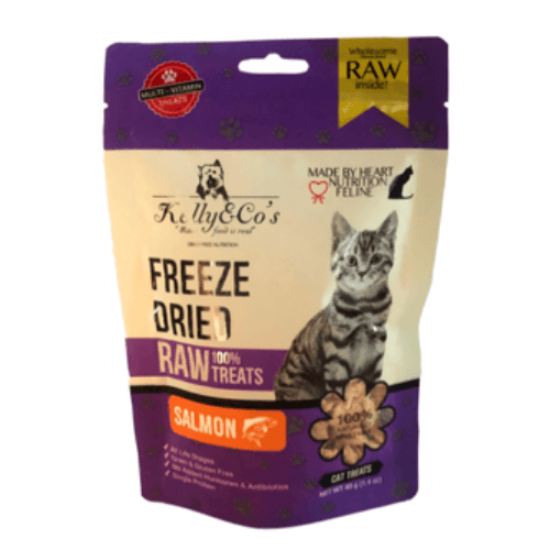 Kelly And Cos Cat Raw Treats Salmon 40 Gm