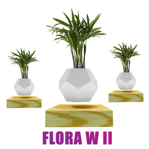 Flora-W Ii