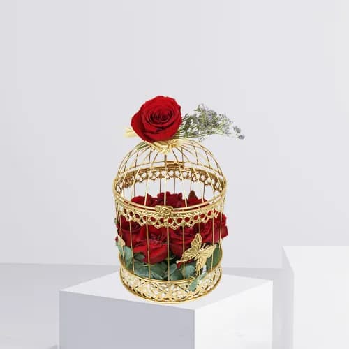 Bird Cage Of Flowers 1 - 2031