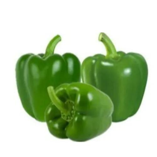 capsicum lebanon 1kg