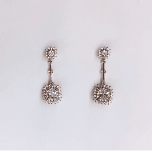 Earrings - Z 1662 E PW 