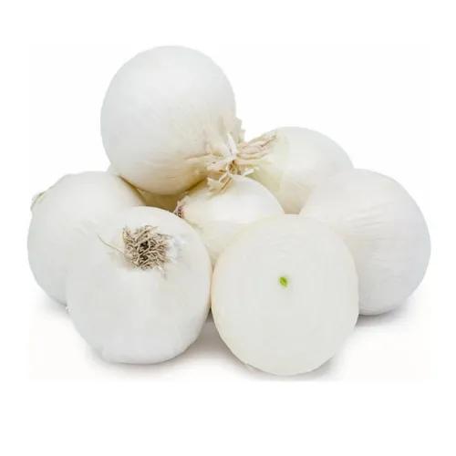 white onion Spanish 1kg