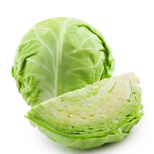 Cabbage Qatari 1pcs