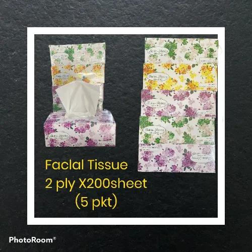 Facial Tissue 2 Ply X 200 Sheet (5 Pkt)