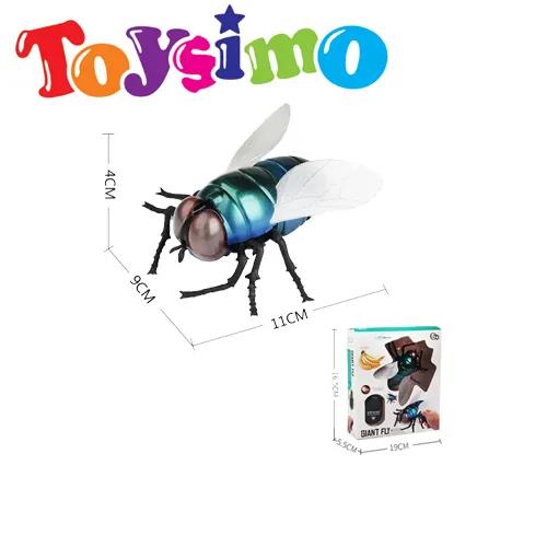 Giant fly R/C