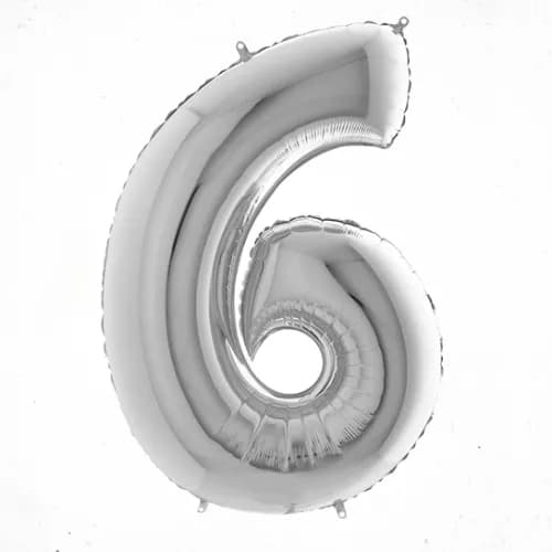 (N) Foil 6 Number /Silver