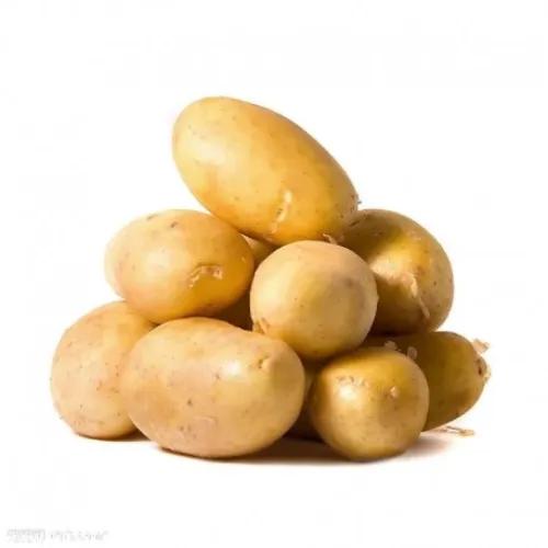 Potato Labanon