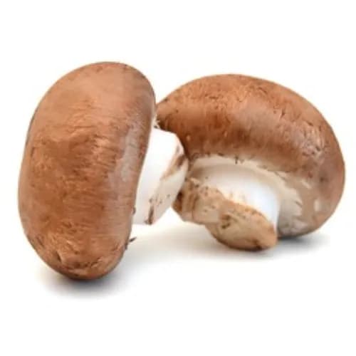 Mushroom Brown Whole Doha 1Pc