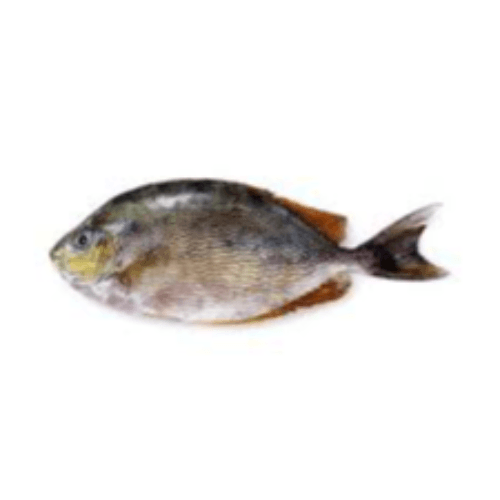 Safi - Fresh Fish