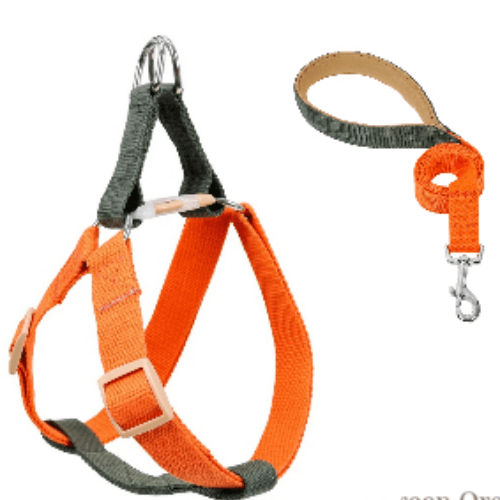 Large green/orange Harness + leash