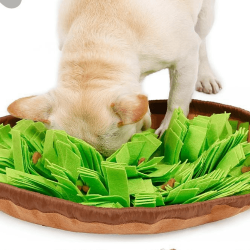 Green Pet snuffle bowl & mat