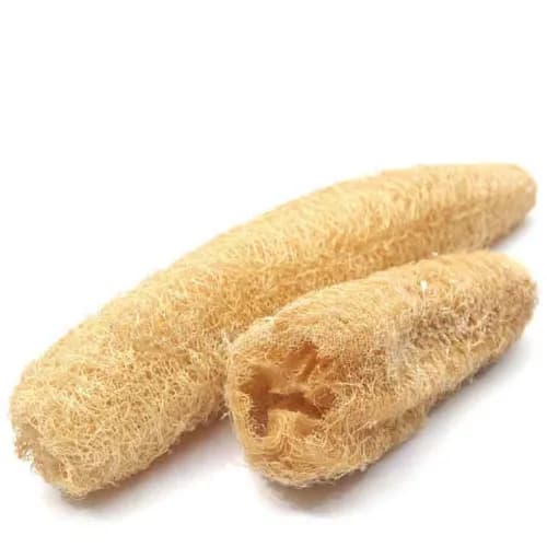 Natural Luffa For Body (Half Cut)