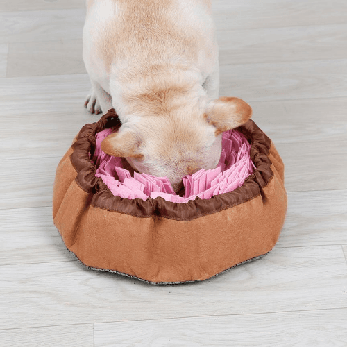 Pink Pet snuffle bowl & mat