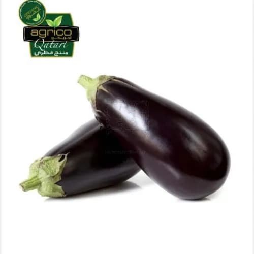 Agrico Eggplant Doha