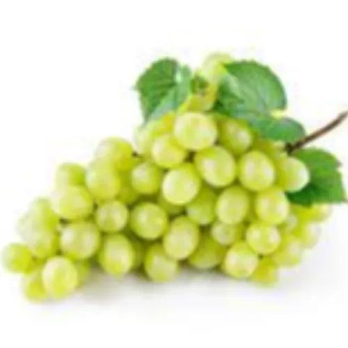 Grapes White - Lebnon