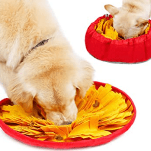 Yellow Pet snuffle bowl & mat