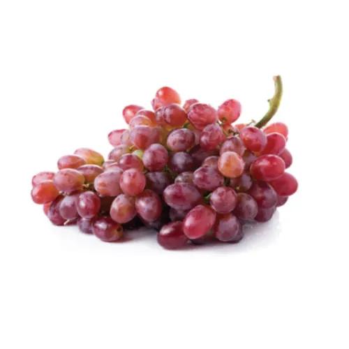 Grapes Red Iran