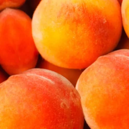 Peaches Chile Yellow Medium Usa
