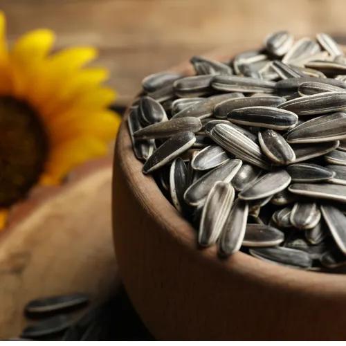 Sunflower Roasted Seed