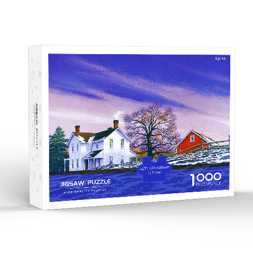 10 Jigsaw Puzzle 101-69
