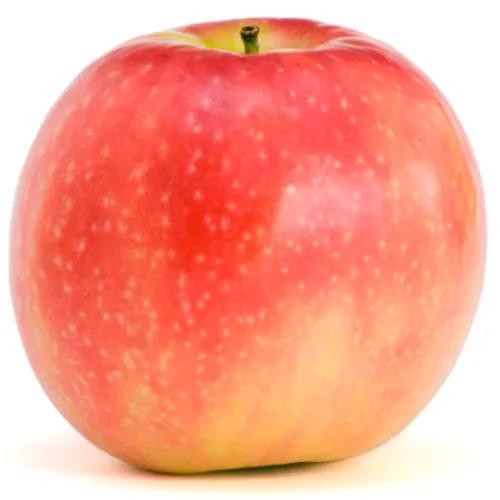 Apple Pink Lady 1kg