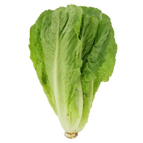 Lettuce Romaine 500g