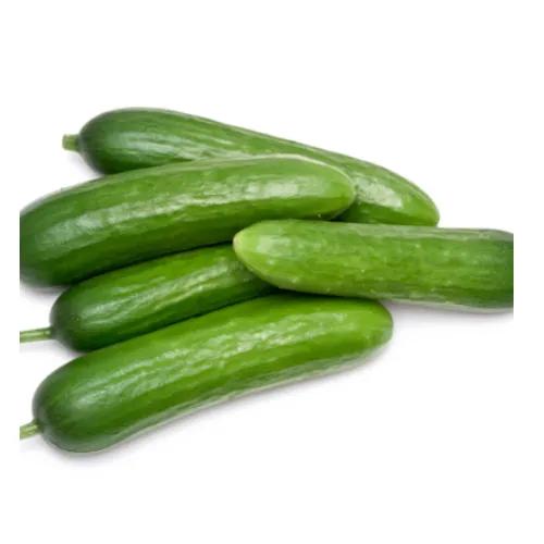 Cucumbers 500g