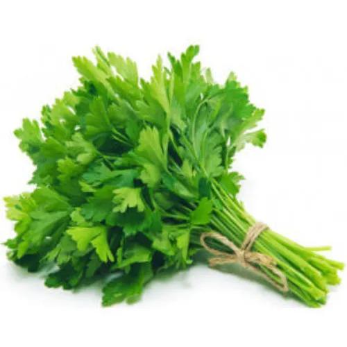 Fresh Parsley 1 Pack