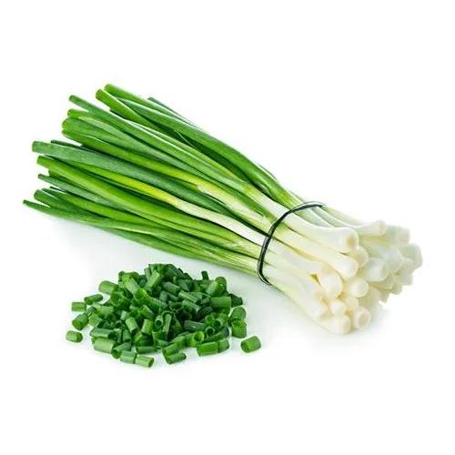 Green Onion 1pcs