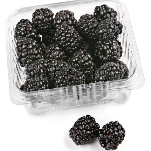 Blackberry Box