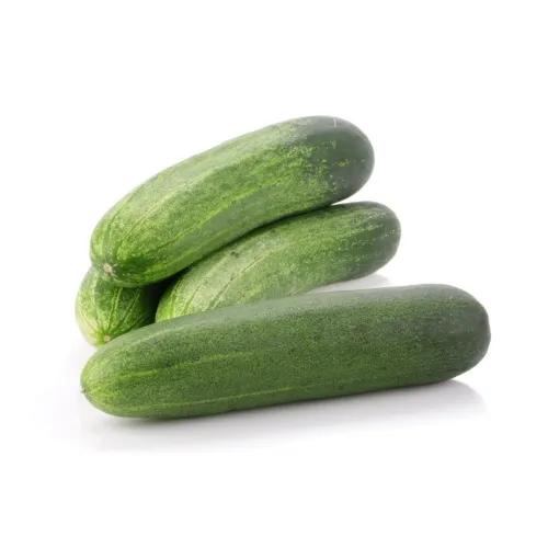 Cucumber 500g