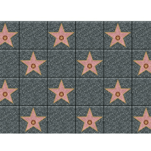 Star Backdrop 30FT.