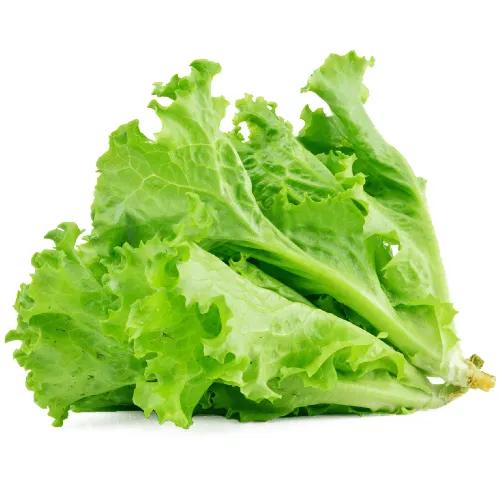 Iceberg Lettuce 500Gm