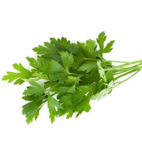 Parsley Leaves 1 Bundle