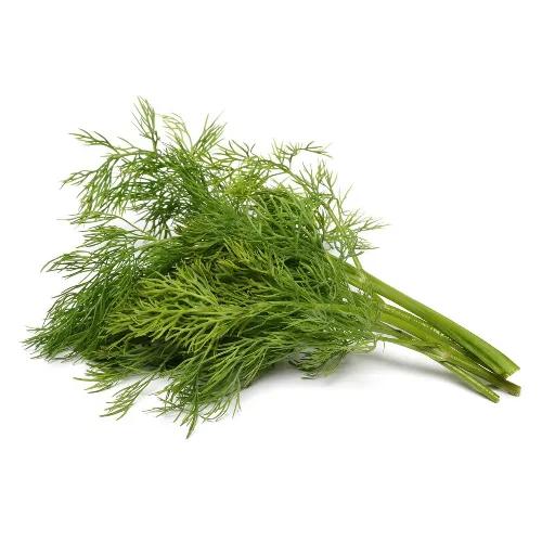 DILL LEAVES 1 BUNDLE