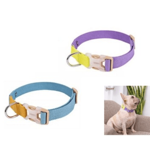 Small Luxury Dog Collar 24 - 43 cm