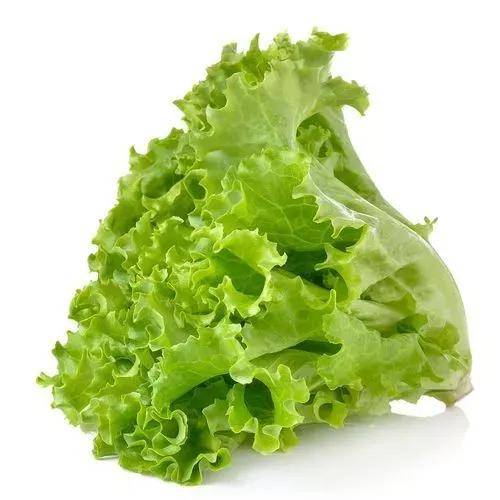 LETTUCE 500GM