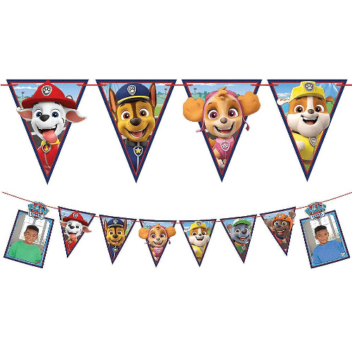 Paw Patrol Adventures Photo Banner