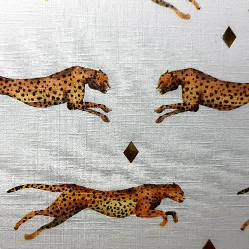 Leopards