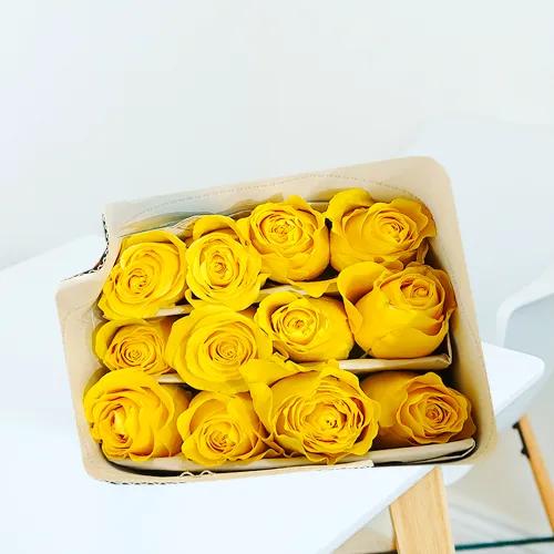 Yellow Rose