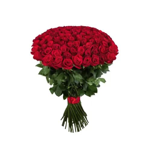 Only Red Roses 50 Pieces