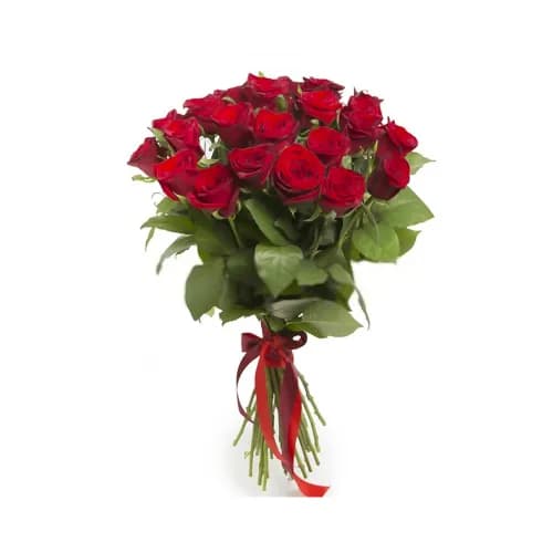 Only Red Roses 20 Pieces