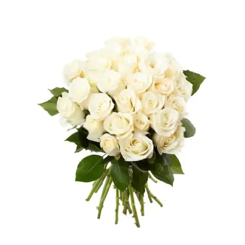 Only White Roses 30 Pieces