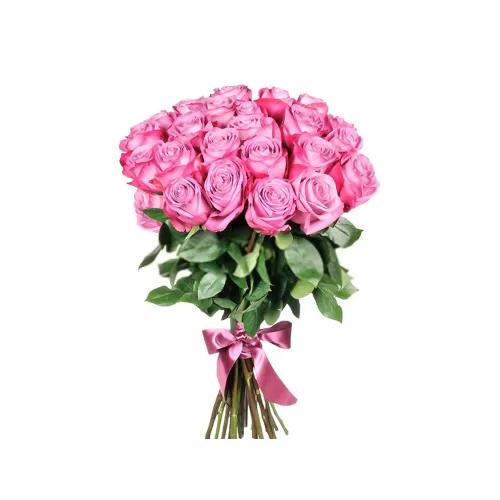 Only Pink Roses 40 Pieces