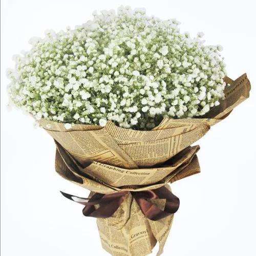 News Gypso Bouquet