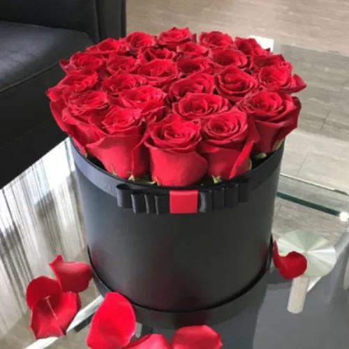 Normal Circular Box Roses