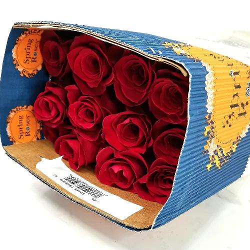 A1 Wholesale Red Rose