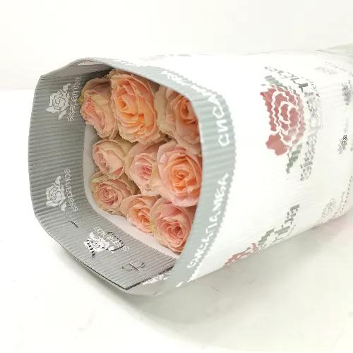 A3 Wholesale Peach Rose