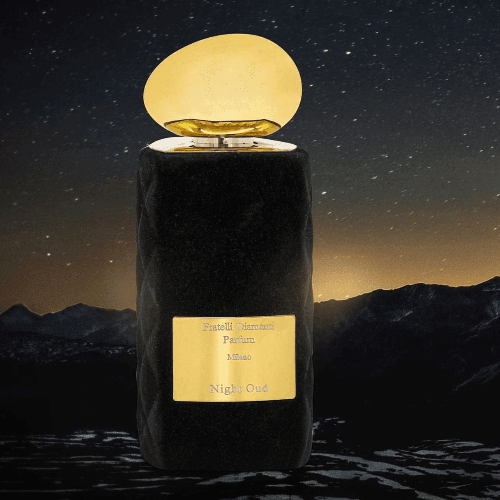 Night Oud 100ML EDP