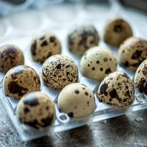 Baladi Quails Egg 10 Pieces